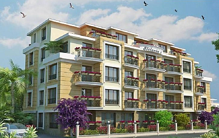 Elitonia 4